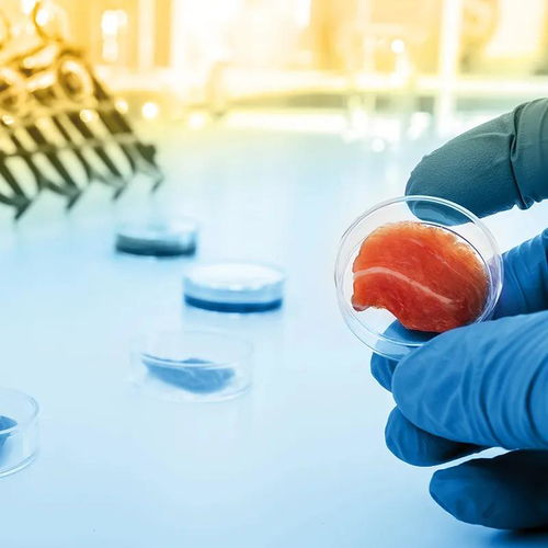 凱愛(ài)瑞發(fā)布2022全球風(fēng)味圖譜，帝斯曼成立新食品飲料事業(yè)部——有料Weekly技術(shù)交流